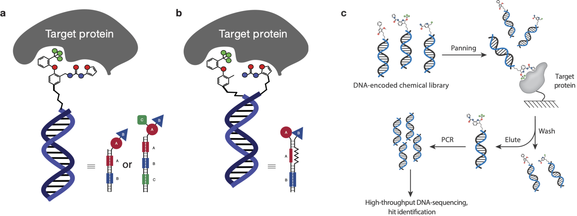 Research – DNA-encoded Chemical Libraries / DEL Technology | ETH Zurich